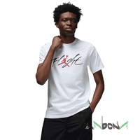 Футболка мужская Nike Jordan Graphic 100