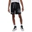 Чоловічі шорти Nike Jordan DF BC HBRR Mesh 010