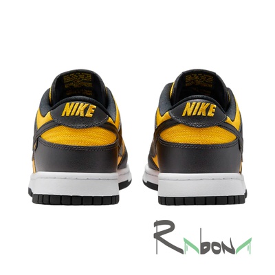 Кросівки Nike Dunk Low 001
