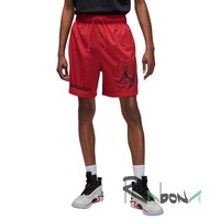 Мужские шорты Nike Jordan DF BC HBRR Mesh 687
