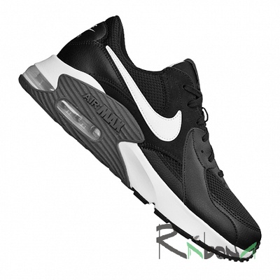 Кроссовки Nike Air Max Excee 001