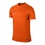 Футболка детская игровая Nike JR T-Shirt SS Park VI Jersey 815