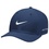 Кепка Nike DFADV Rise Cap 410