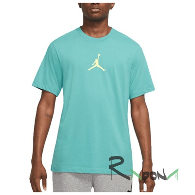 Футболка чоловіча Nike Jordan JUMPMAN DF SS CREW 392