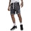 Мужские шорты Nike Jordan Dri-FIT Sport 013