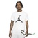 Футболка мужская Nike Jordan Jumpman 100