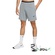 Мужские шорты Nike Flex REP 2.0 NPC 073
