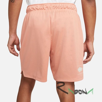 Мужские шорты Nike Jordan Essentials Mesh 824