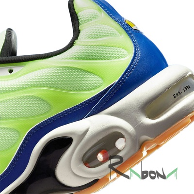 Кроссовки Nike Air Max Plus 300