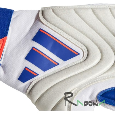 Воротарські рукавички Adidas Copa GL PRO 830