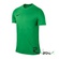 Футболка детская игровая Nike JR T-Shirt SS Park VI Jersey 303