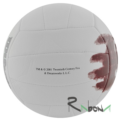 Волейбольный мяч Wilson MR Castaway
