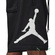 Мужские шорты Nike Jordan Brand GFX Crew 3 010
