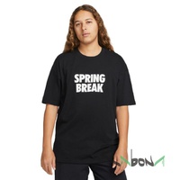 Футболка мужская Nike SB Spring Break 010