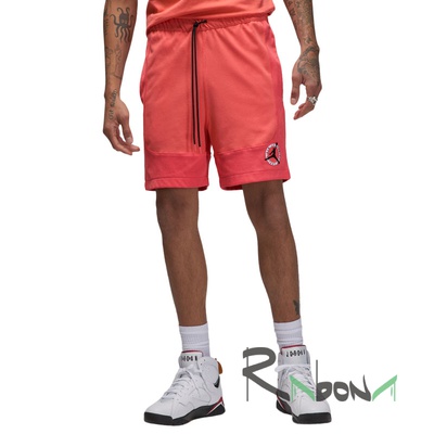 Чоловічі шорти Nike Jordan FLT MVP Mesh F2 814